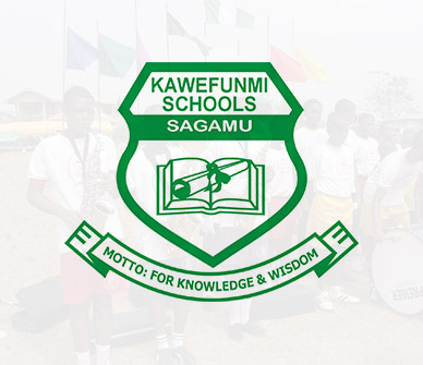 kawefunmi-schools-seo-campaign