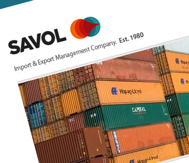 savol-west-africa-website-designer